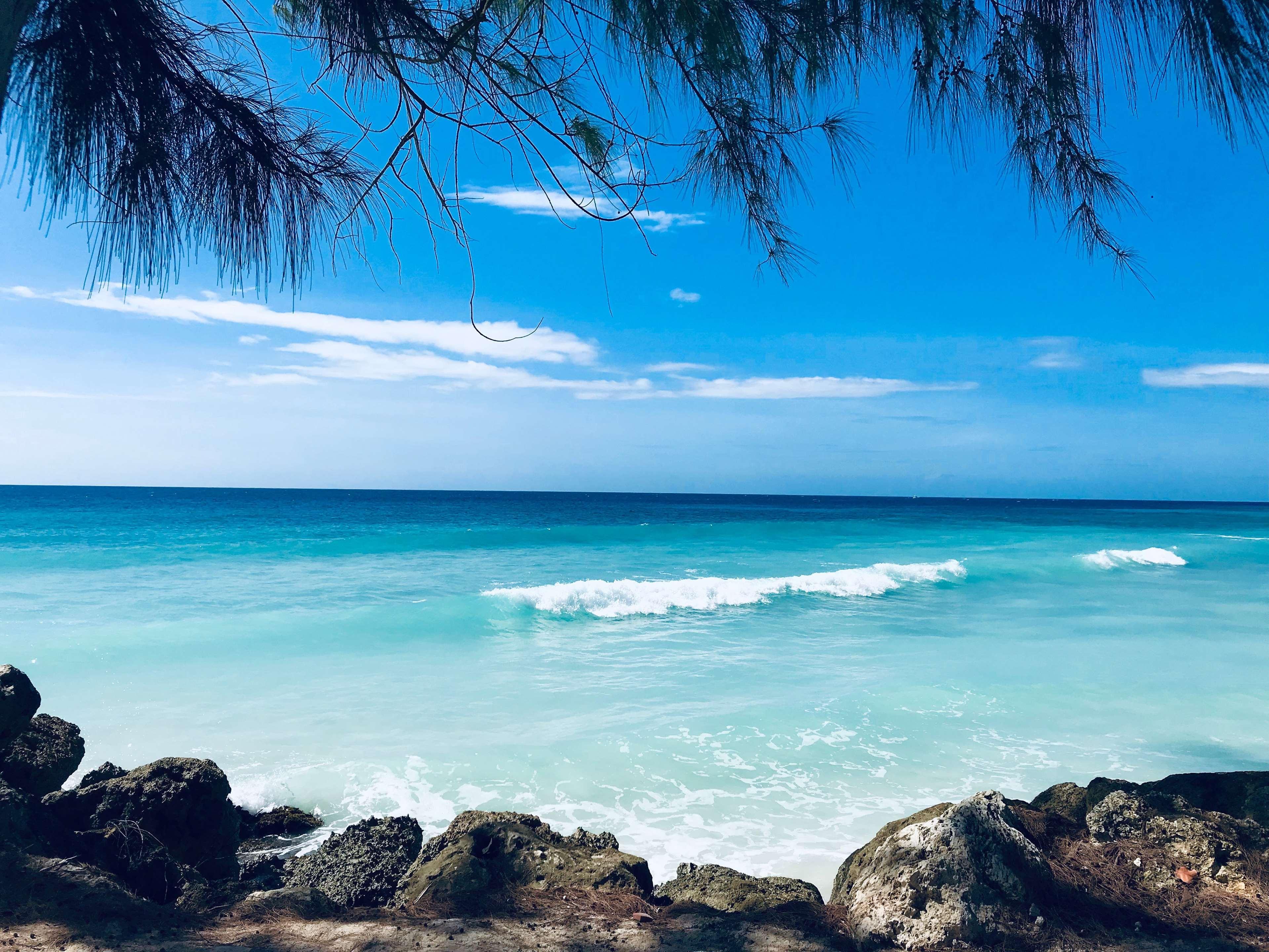 Divi Southwinds Beach Resort Christ Church Buitenkant foto