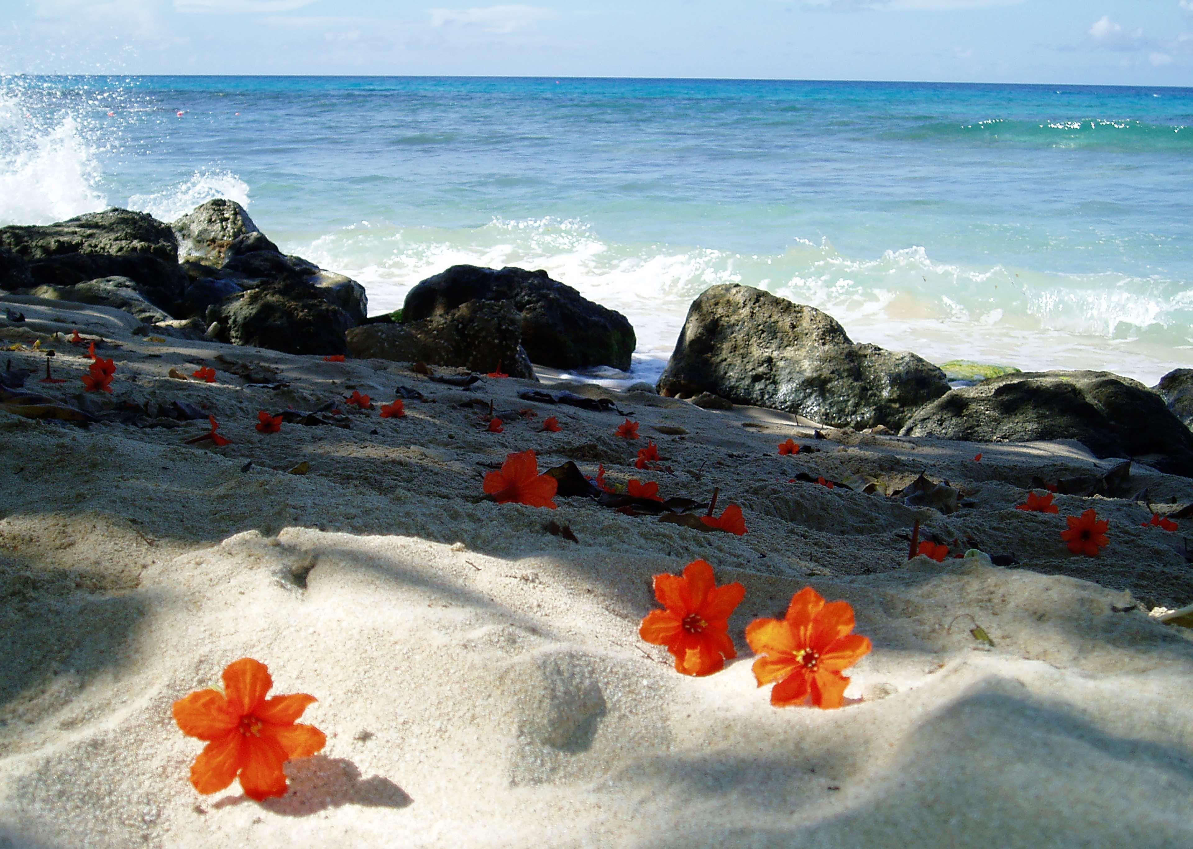 Divi Southwinds Beach Resort Christ Church Buitenkant foto